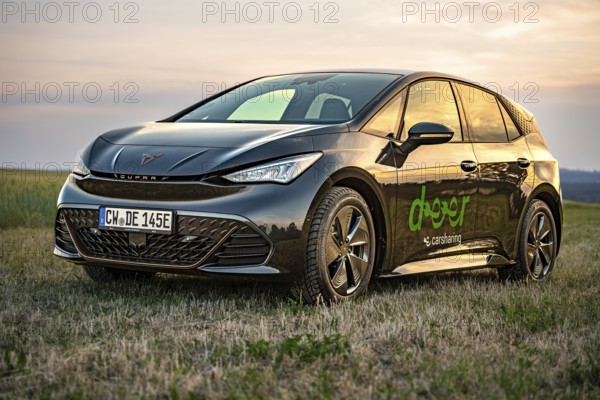 Black car in a meadow at sunset with reflections on the paint, Deer e-car sharing, Cupra electric