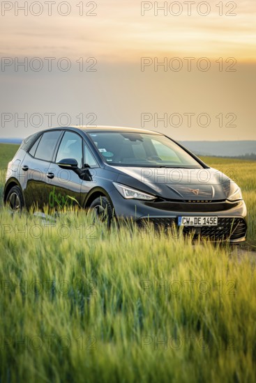 Black car standing in a field during a colorful sunset, Deer e-car sharing, Cupra electric car,