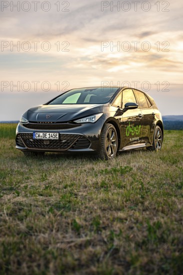 Black car standing in a meadow, golden sky in the background, Deer e-car sharing, Cupra electric