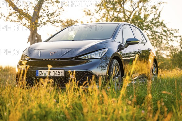 Black car standing in a meadow in sunlight next to a tree, Deer E-Car Sharing, Cupra electric car,