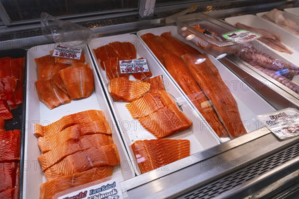 Fresh salmon fillets, cut into steaks and portions, are displayed on ice in a fish market in