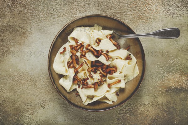 Pasta papardelle, in creamy garlic sauce, with mushrooms, traditional Italian cuisine, pasta