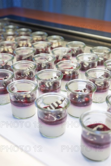 Modern desserts in small glasses, layered with berries, Christmas party Dekra Congresshotel Wart,