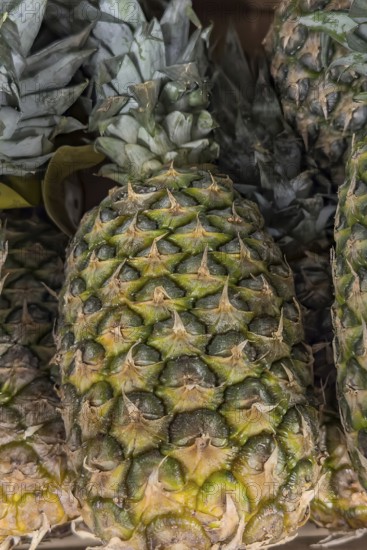Tropical fruit pineapple on display from grocery store grocery store grocery store supermarket,