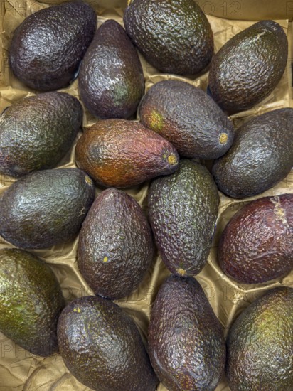 Avocado Avocados Superfood on display from grocery store grocery store grocery store deli