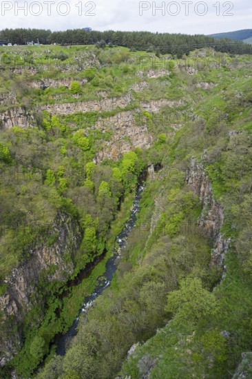 Deep gorge with dense vegetation and a narrow river, Dashbashi Gorge, Khrami River, Tsalka Nature