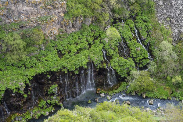River and waterfalls surrounded by lush vegetation and rocky gorge, Dashbashi gorge and waterfall,