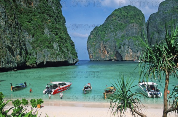 Palm tree and boats on Maya Bay beach, known from the movie The Beach, one year in front of the