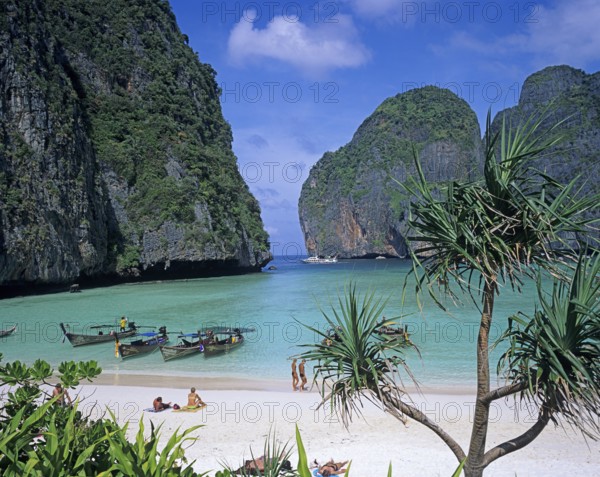 Palm tree and longtail boats on Maya Bay beach, known from the movie The Beach, one year in front