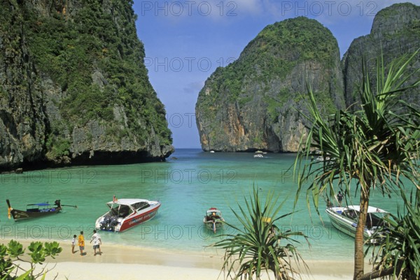 Palm tree, people, longtail boats on Maya Bay beach, known from the movie The Beach, one year in