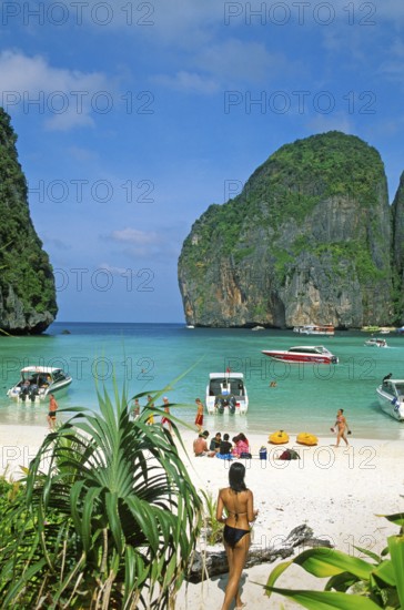 Palm tree, people, longtail boats on Maya Bay beach, known from the movie The Beach, one year in