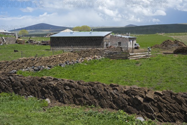 Farm with natural stone structures and green meadow in rural surroundings, cow dung walls,