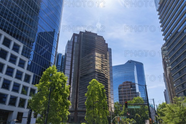 Sunlight illuminates the modern skyscrapers and lush green trees of vancouver's financial district,