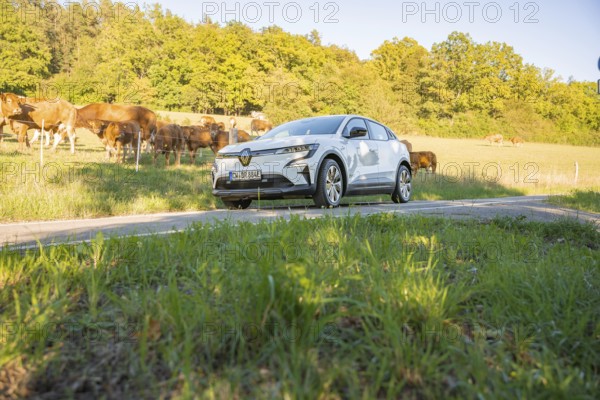 White car on a path through a green meadow with cows and trees in the background, deer e-car