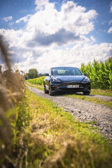 Car driving on a country road surrounded by fields and blue skies, Deer E-Carsharing, Tesla Model