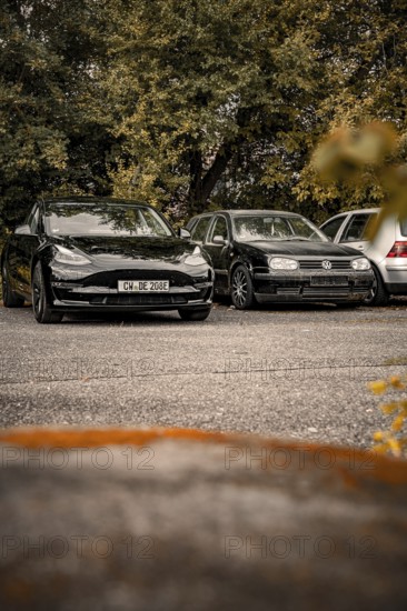 Two cars parked outdoors in front of a row of trees, quiet atmosphere, Deer E-Carsharing, Tesla