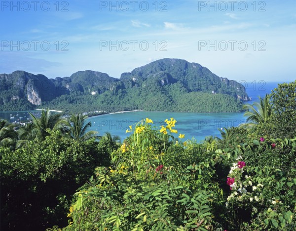 View of the island from the viewpoint one year in front of the tsunami, Ko Phi Phi Don, Thailand,