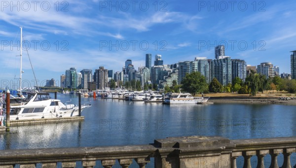 Luxury yachts and sailboats are moored in coal harbour marina, with the modern skyline of