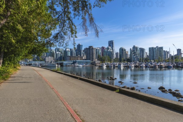 Lush green trees frame a tranquil paved pathway bordering a calm marina filled with boats, with the