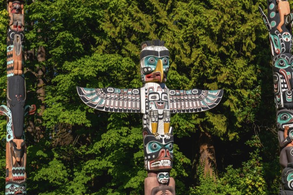 Colorful totem poles rise against a backdrop of lush green trees, reflecting the rich history and