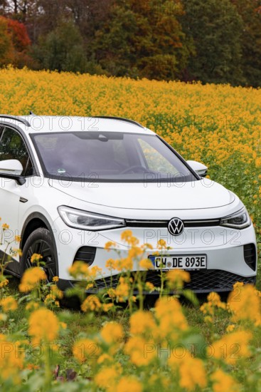 A white car is parked in a yellow flower field under a clear sky, Deer E-Carsharing, VW ID4, Calw,