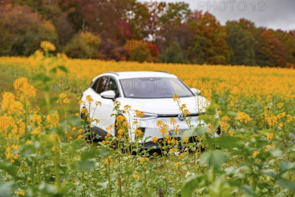 An SUV stands in a yellow flower field with autumn trees in the background, Deer E-Carsharing, VW