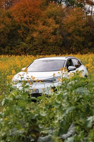An SUV stands in a yellow field in front of an autumn-colored forest, Deer E-Carsharing, VW ID4,