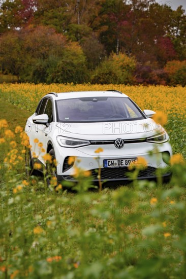 A white SUV drives through a blooming field surrounded by autumn trees, Deer E-Carsharing, VW ID4,