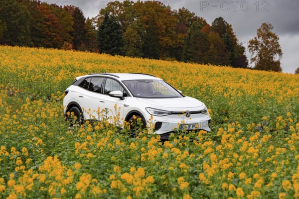 White SUV driving through a yellow flower field, autumnal atmosphere, deer e-car sharing, VW ID4,