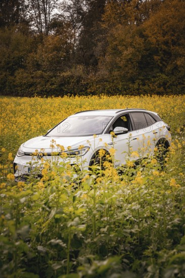 SUV surrounded by yellow flowers in a picturesque landscape, deer e-car sharing, VW ID4, Calw,
