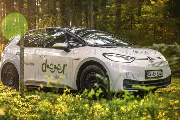 A car stands between trees in the forest with a pleasant light show, Deer E-Carsharing, VW ID3,