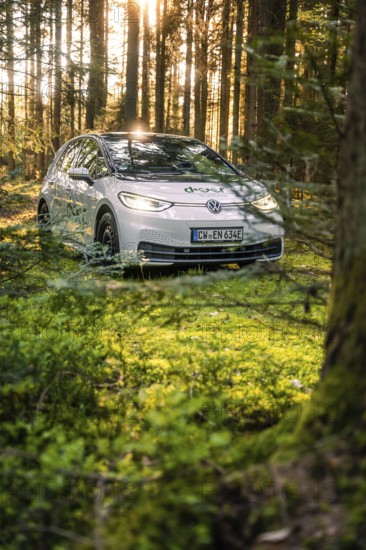 A car is parked in the shady forest next to a tree trunk under the rays of sunlight, Deer