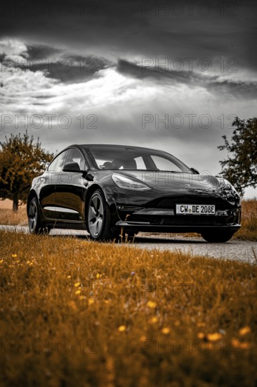 Black car on country road with orange fields under dramatic sky, Deer E- car sharing, Tesla Model