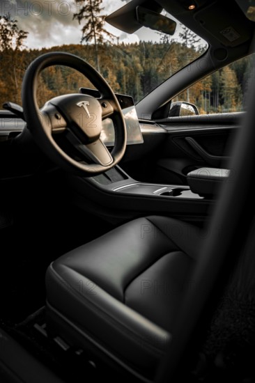 Interior view of a Tesla with a view of the steering wheel and nature, Deer e-Carsharing, Tesla
