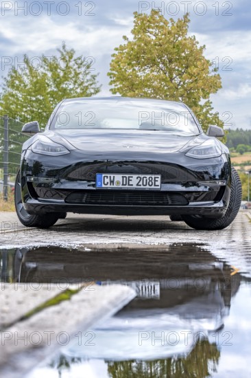 Front view of a black car with puddle reflection and tree in the background, Deer E-Carsharing,