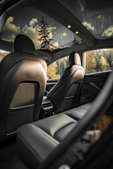 Car interior with leather seats and forest view through skylight, Deer e-car sharing, Tesla Model
