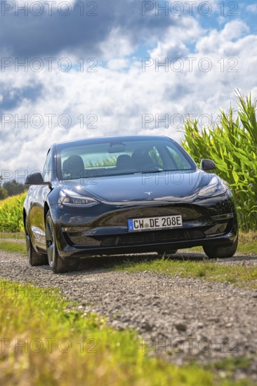 Black car driving along a dirt road flanked by green fields under a cloudy sky, Deer E- car
