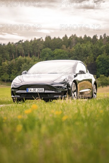 Black car on a country road with a view of green fields and forest, Deer E-Carsharing, Tesla Model