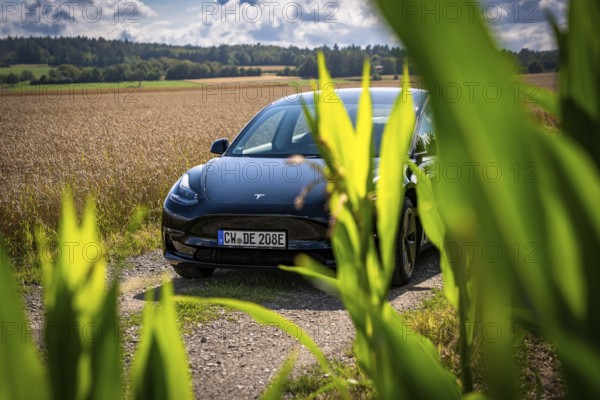 Black car between fields, partly covered by plants, in sunny weather, Deer E-Carsharing, Tesla