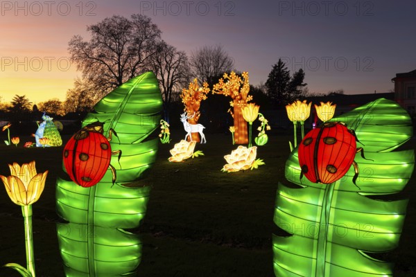 From November 29, 2025 to January 11, 2026, the palm garden and its partner World of Lights