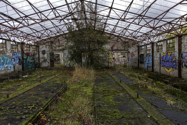 Dilapidated hall with gravity of the dilapidated plant of a former agricultural production