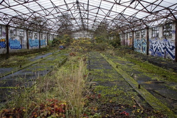 Dilapidated hall with graphite, dilapidated plant of a former agricultural production cooperative