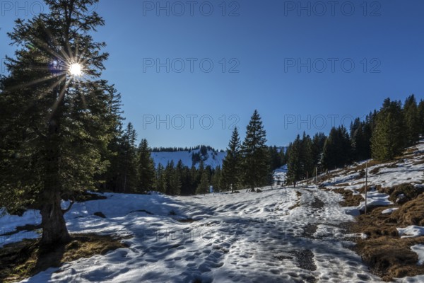 High-altitude hiking trail from Bolsterlanger Horn to Riedberger Horn, snow-covered, Bolsterlang,