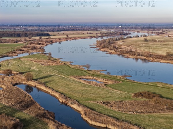 The Elbe in the Elbe floodplain near Bleckede in the Elbe River Landscape Biosphere Reserve on a