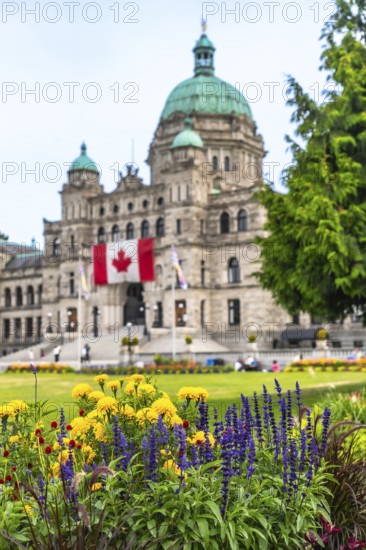 Colorful flowers blooming in the foreground with the parliament buildings and canadian flag in the