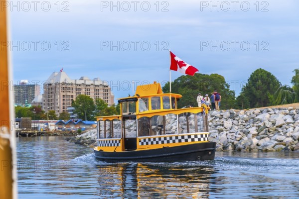 Yellow water taxi, flying canadian flag, leaving pier in victoria harbor with tourists walking on