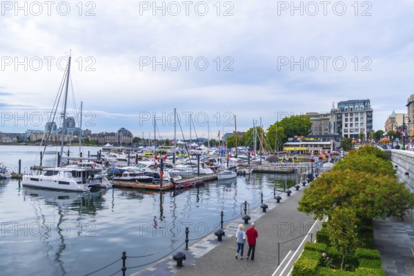 Senior couple strolling along a pedestrian walkway beside a marina, surrounded by yachts and
