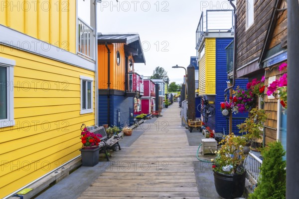 Wooden pathway leading through fisherman's wharf park, featuring vibrant floating homes, potted