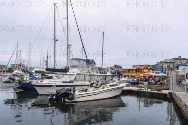Sailboats and motorboats moored in calm victoria harbor, with colorful floating restaurants and