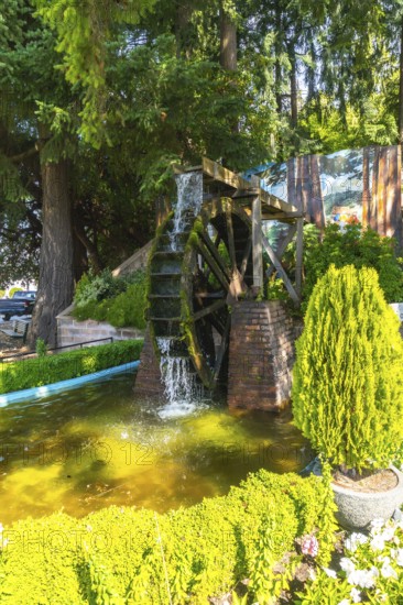 Water cascading over a moss covered water wheel in a vibrant garden within chemainus, british